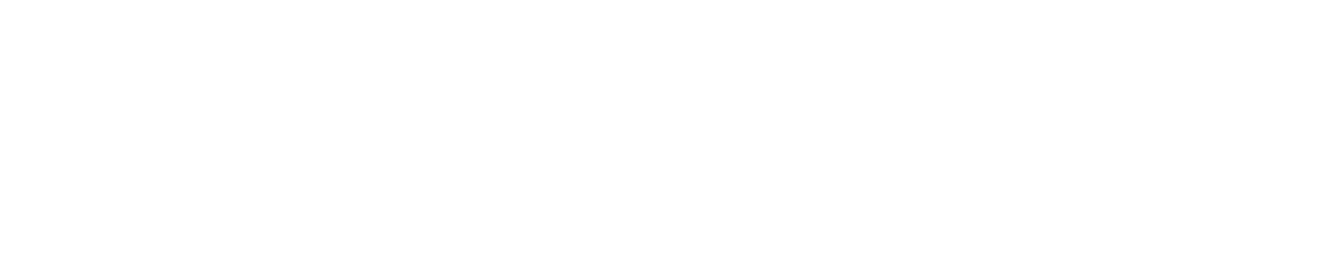 udigie white logo