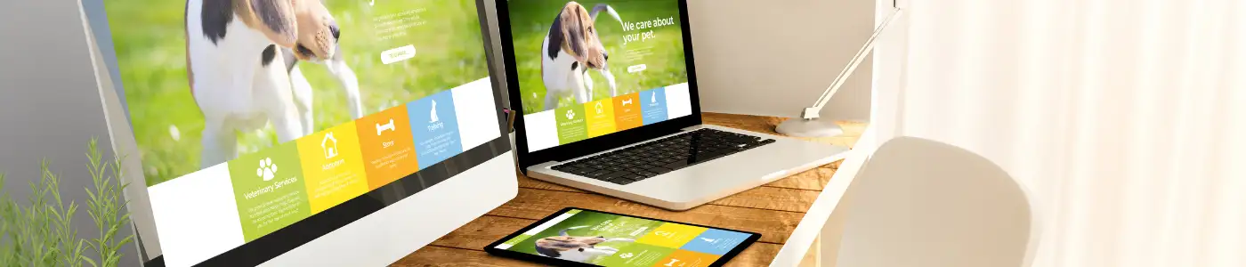 website development company in Palam